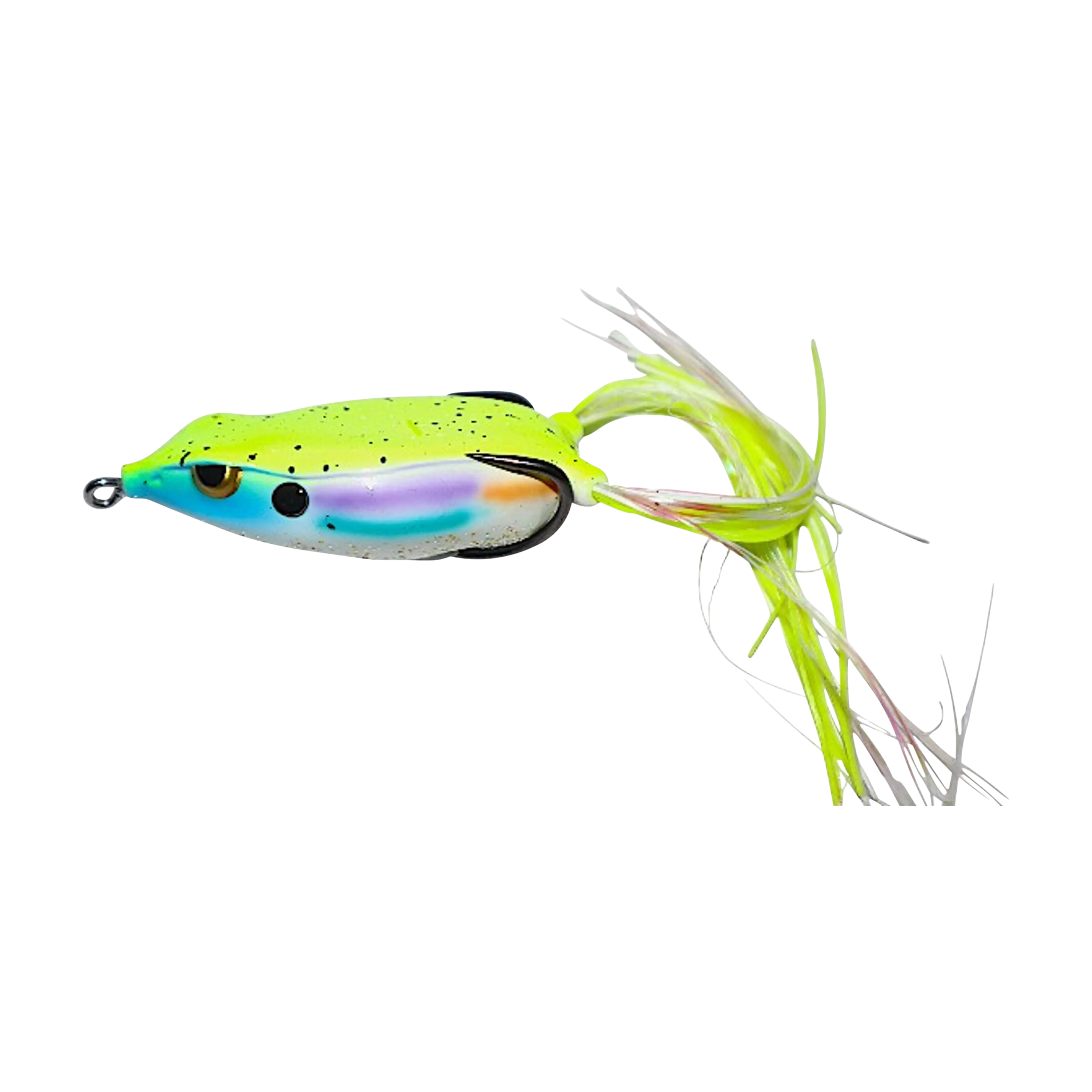 Gambler Walking Frog