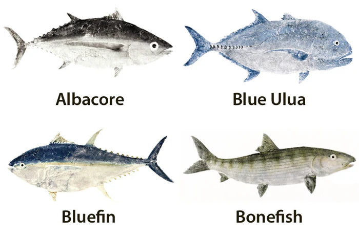 Mud Hole Japanese Gyotaku Fish Art Decals by Marshall Madruga