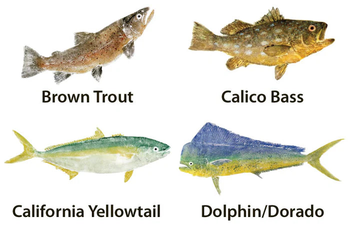 Mud Hole Japanese Gyotaku Fish Art Decals by Marshall Madruga