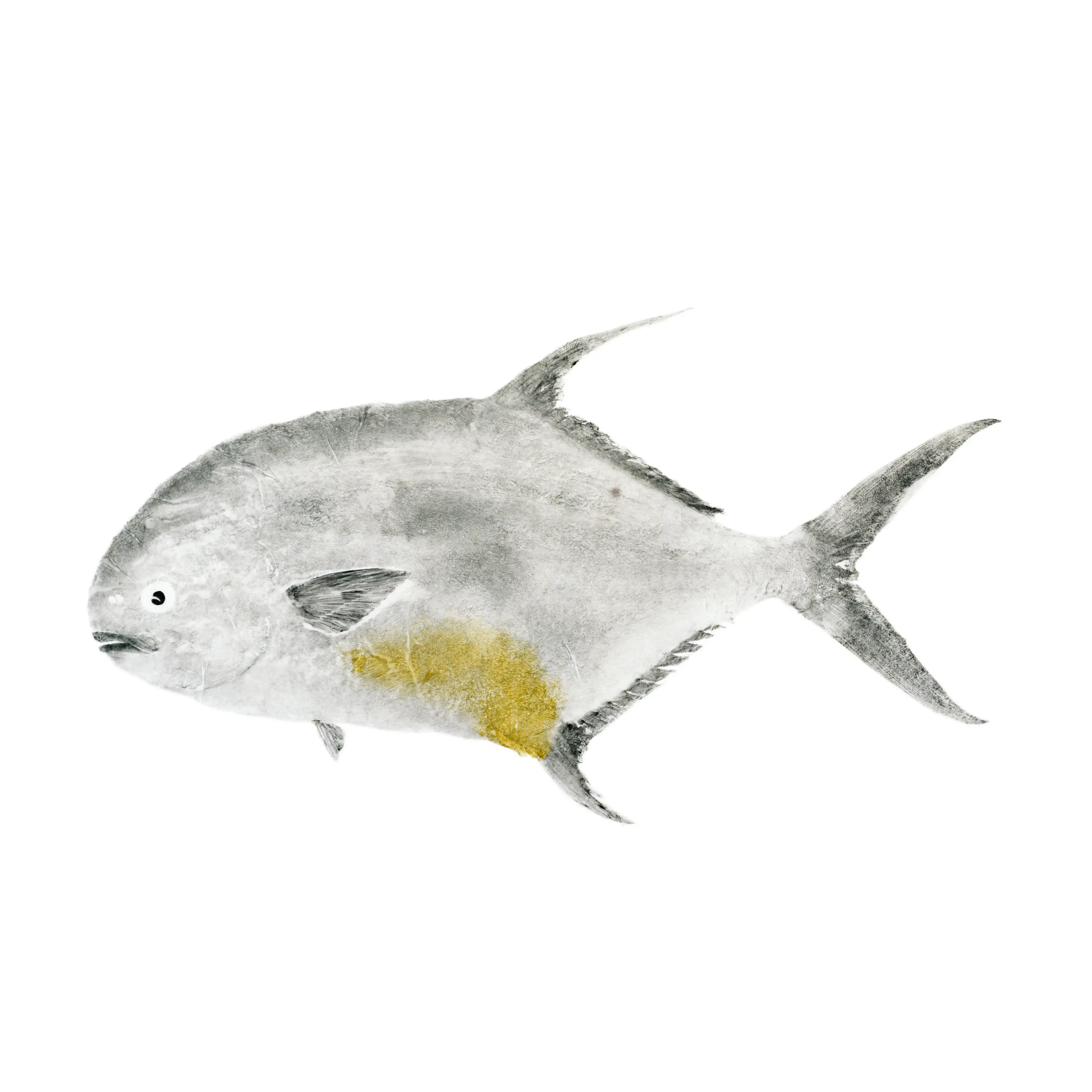 Mud Hole Japanese Gyotaku Fish Art Decals by Marshall Madruga