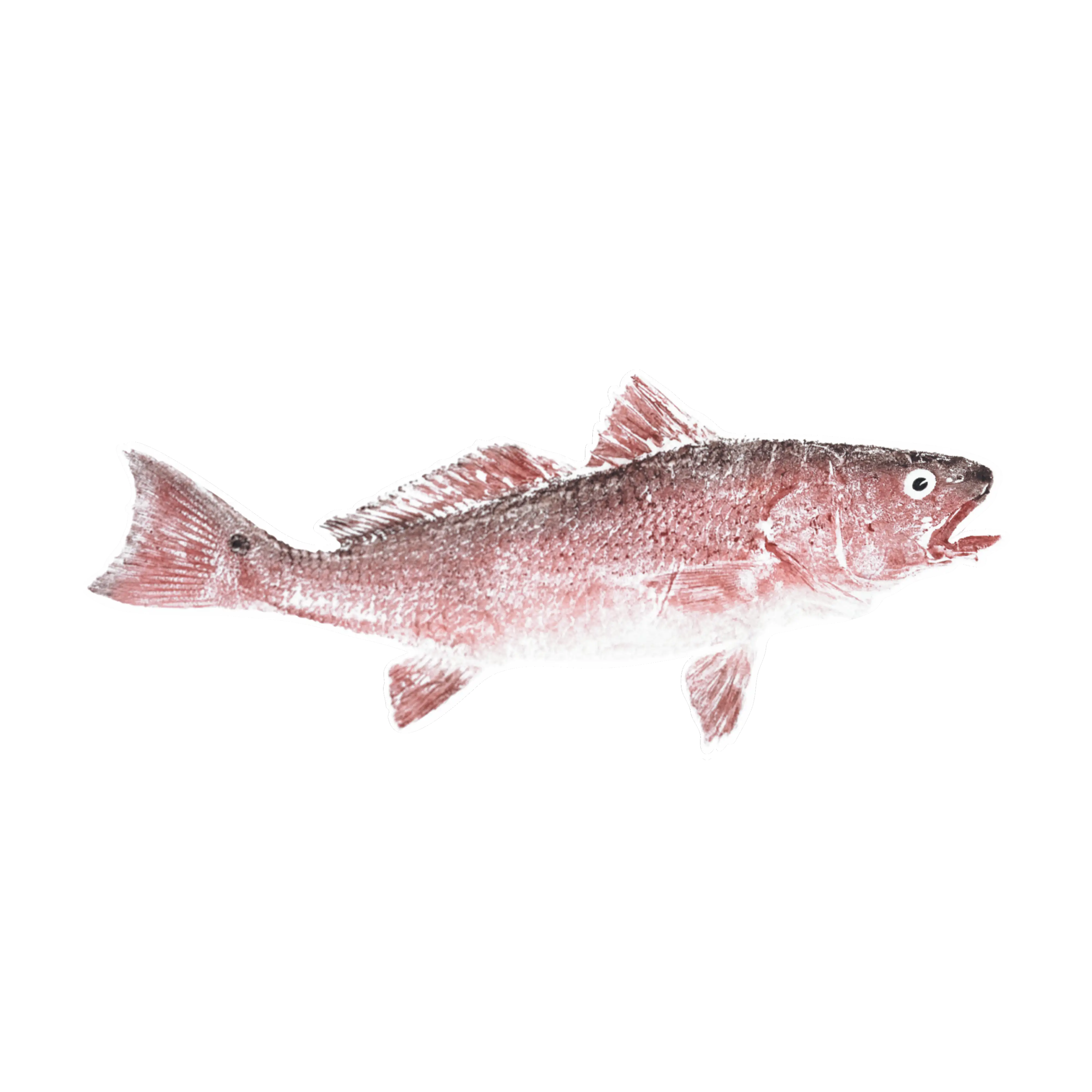 Mud Hole Japanese Gyotaku Fish Art Decals by Marshall Madruga