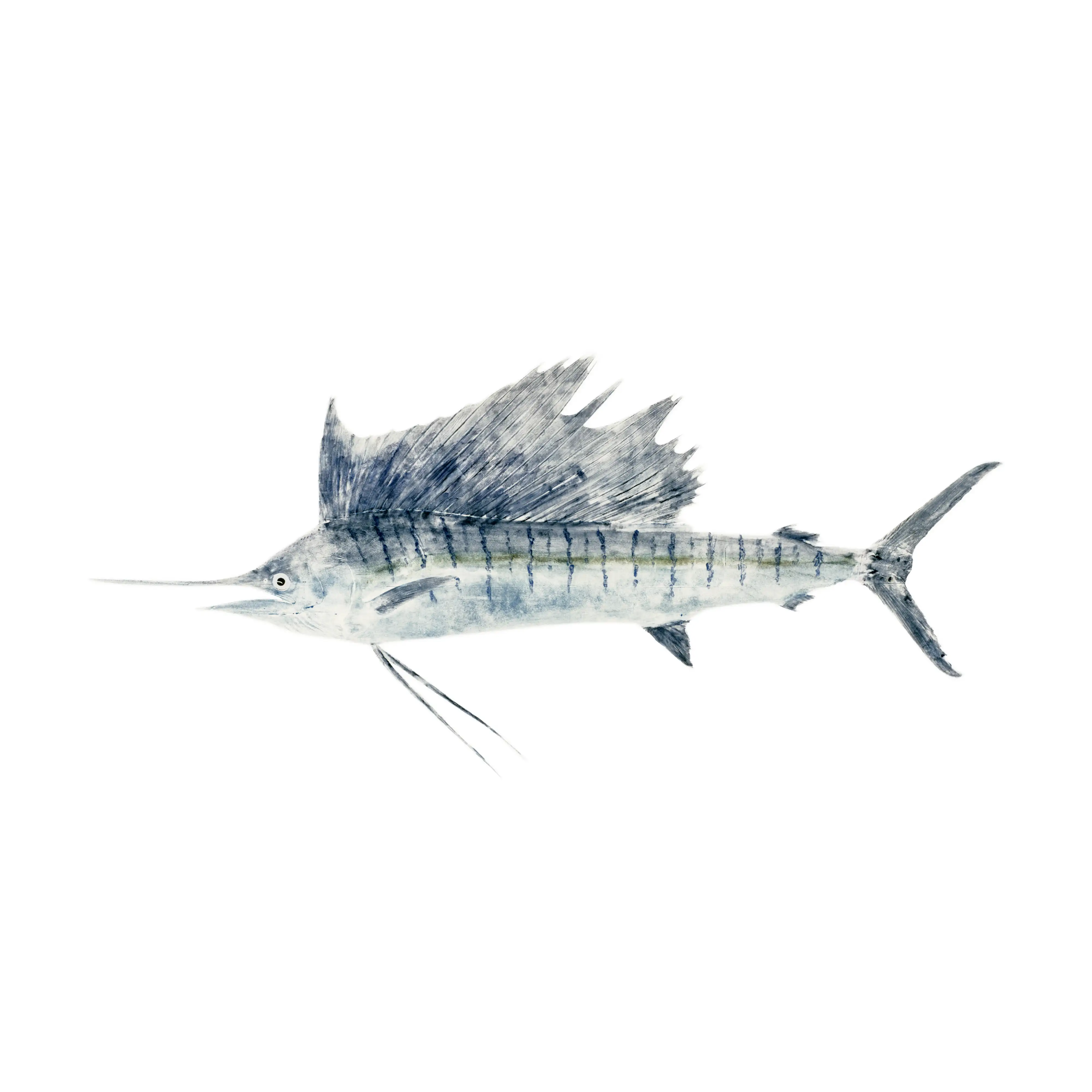 Mud Hole Japanese Gyotaku Fish Art Decals by Marshall Madruga