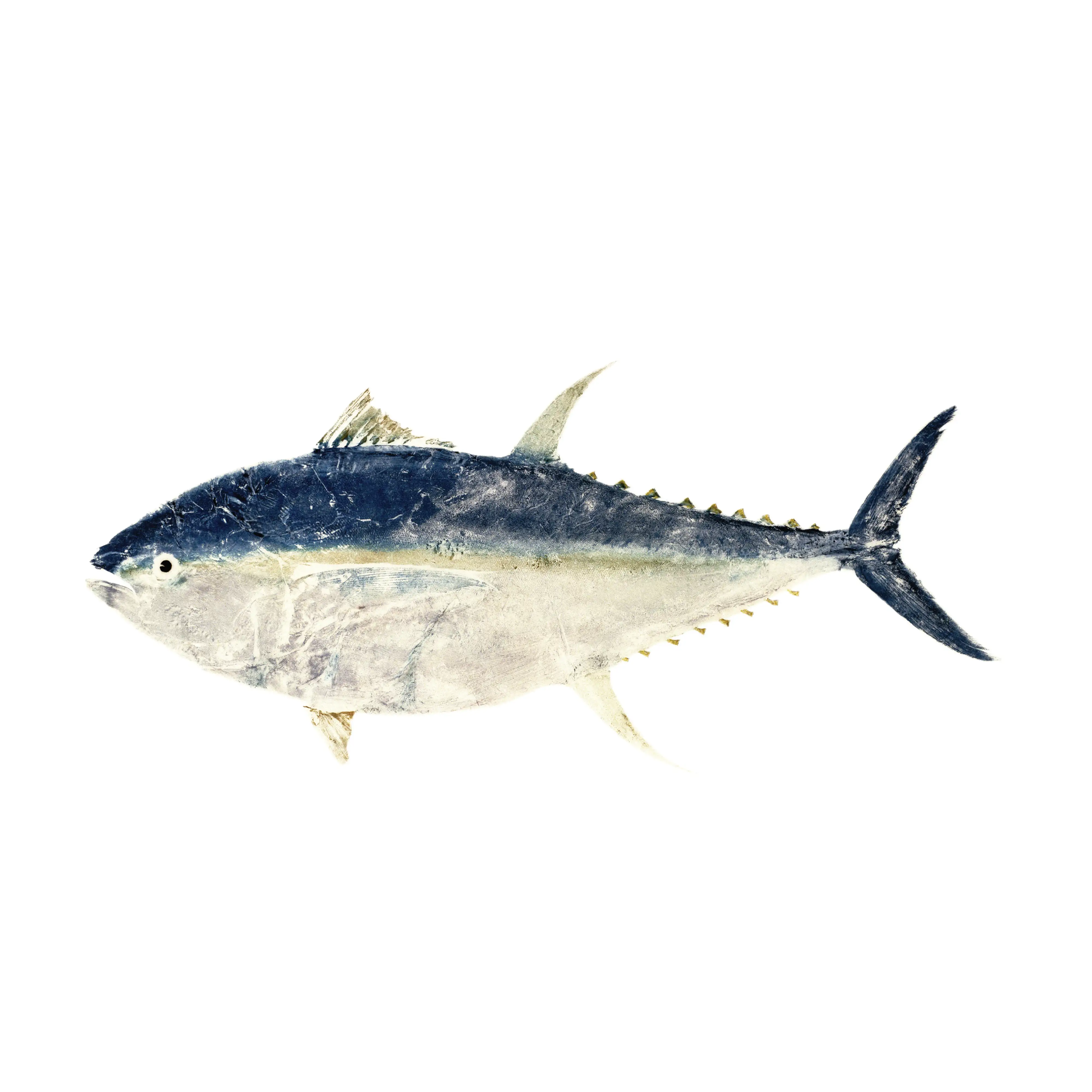 Mud Hole Japanese Gyotaku Fish Art Decals by Marshall Madruga