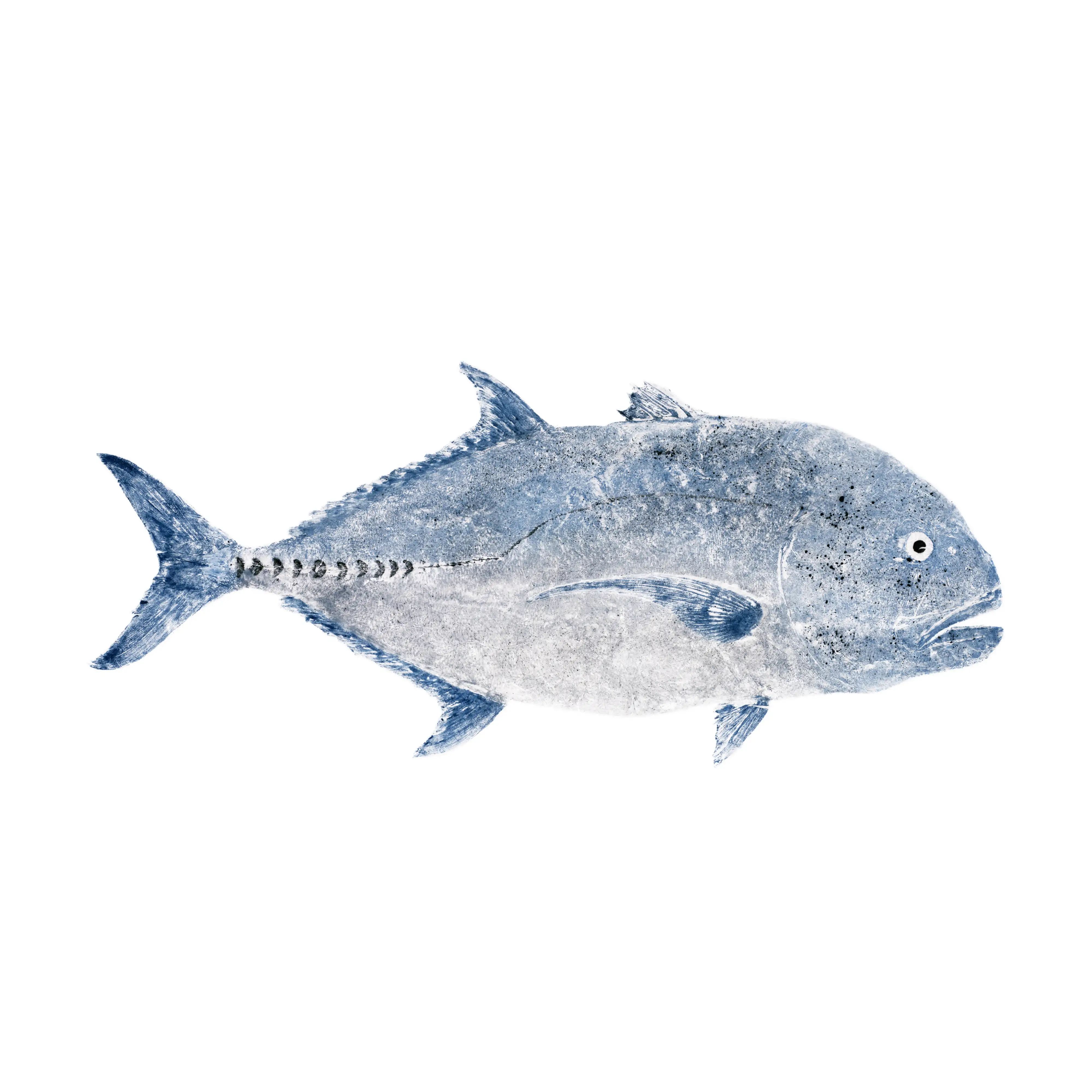 Mud Hole Japanese Gyotaku Fish Art Decals by Marshall Madruga