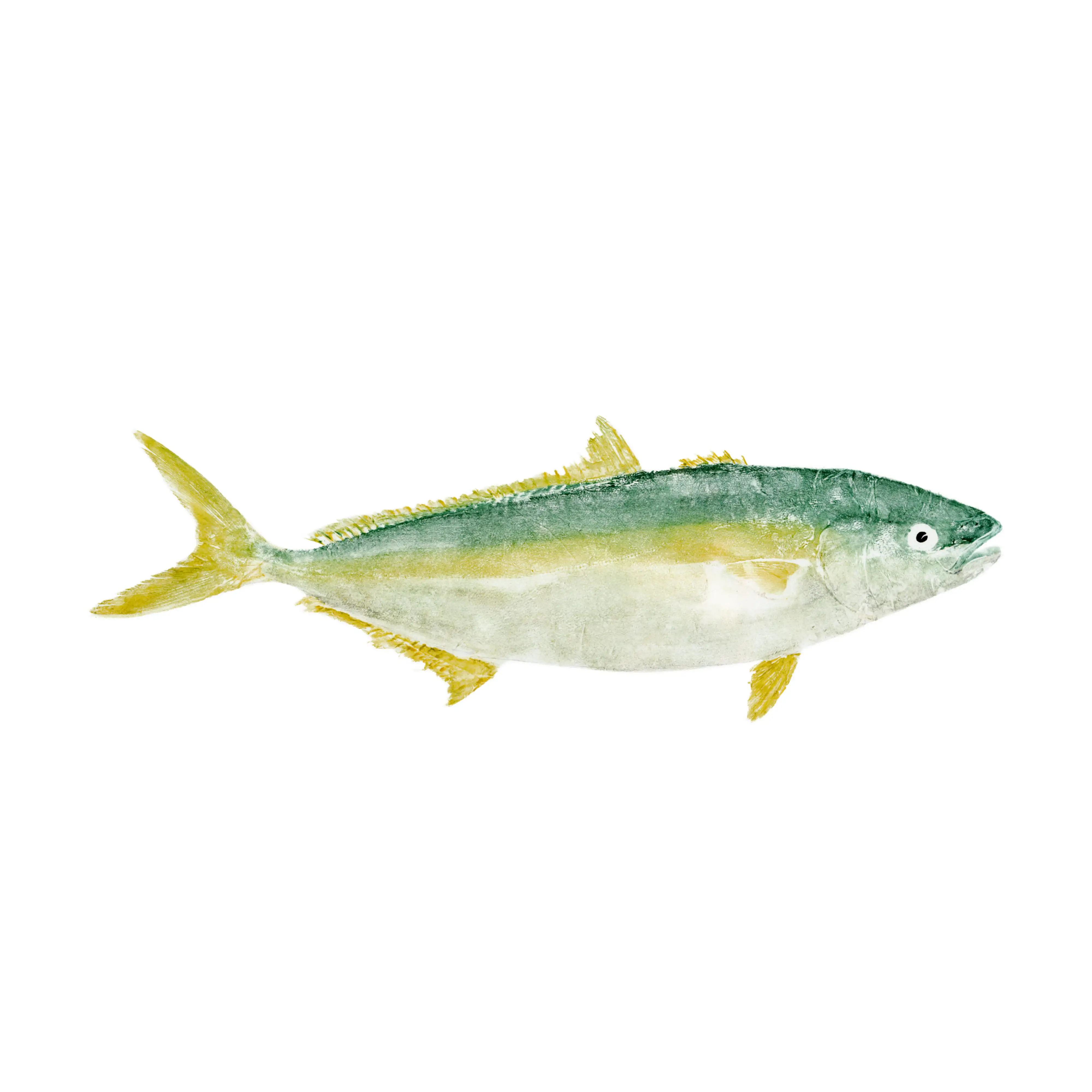 Mud Hole Japanese Gyotaku Fish Art Decals by Marshall Madruga
