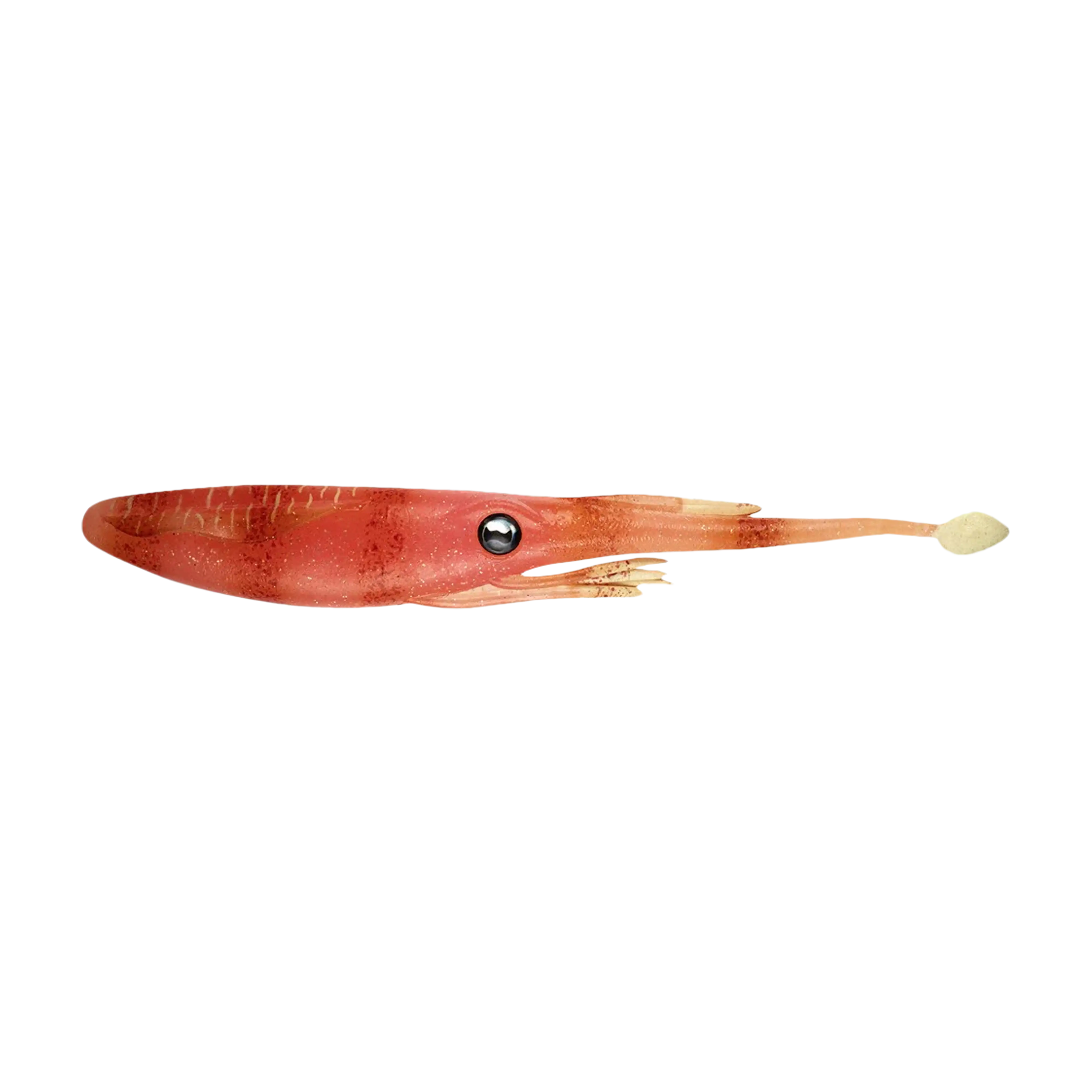 Nomad Design Live Ops Jerksquid