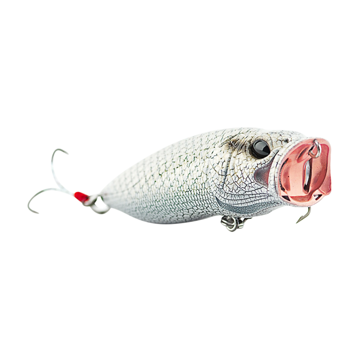 Megabass PopMax Topwater