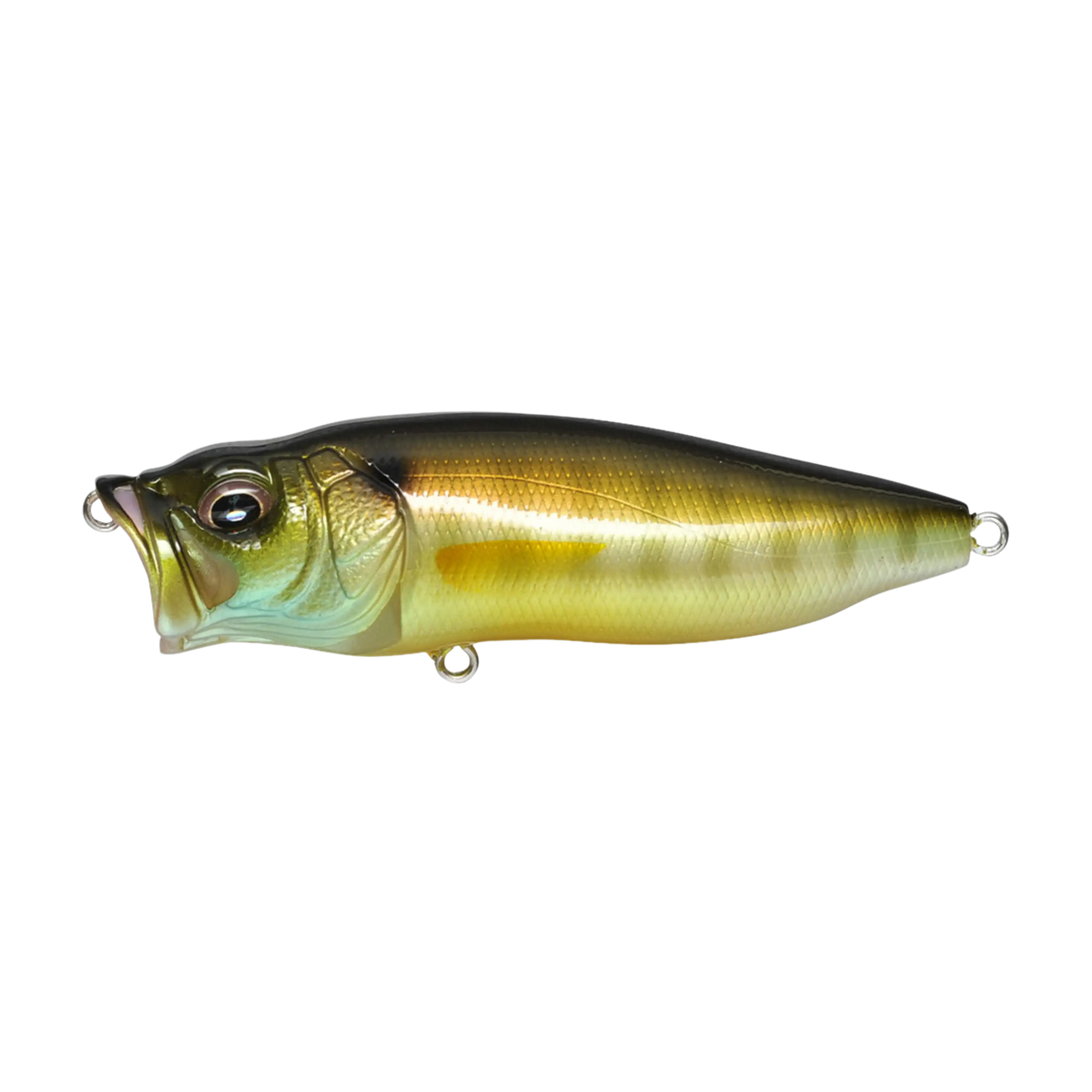 Megabass PopMax Topwater