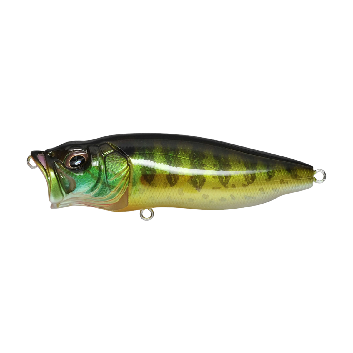 Megabass PopMax Topwater
