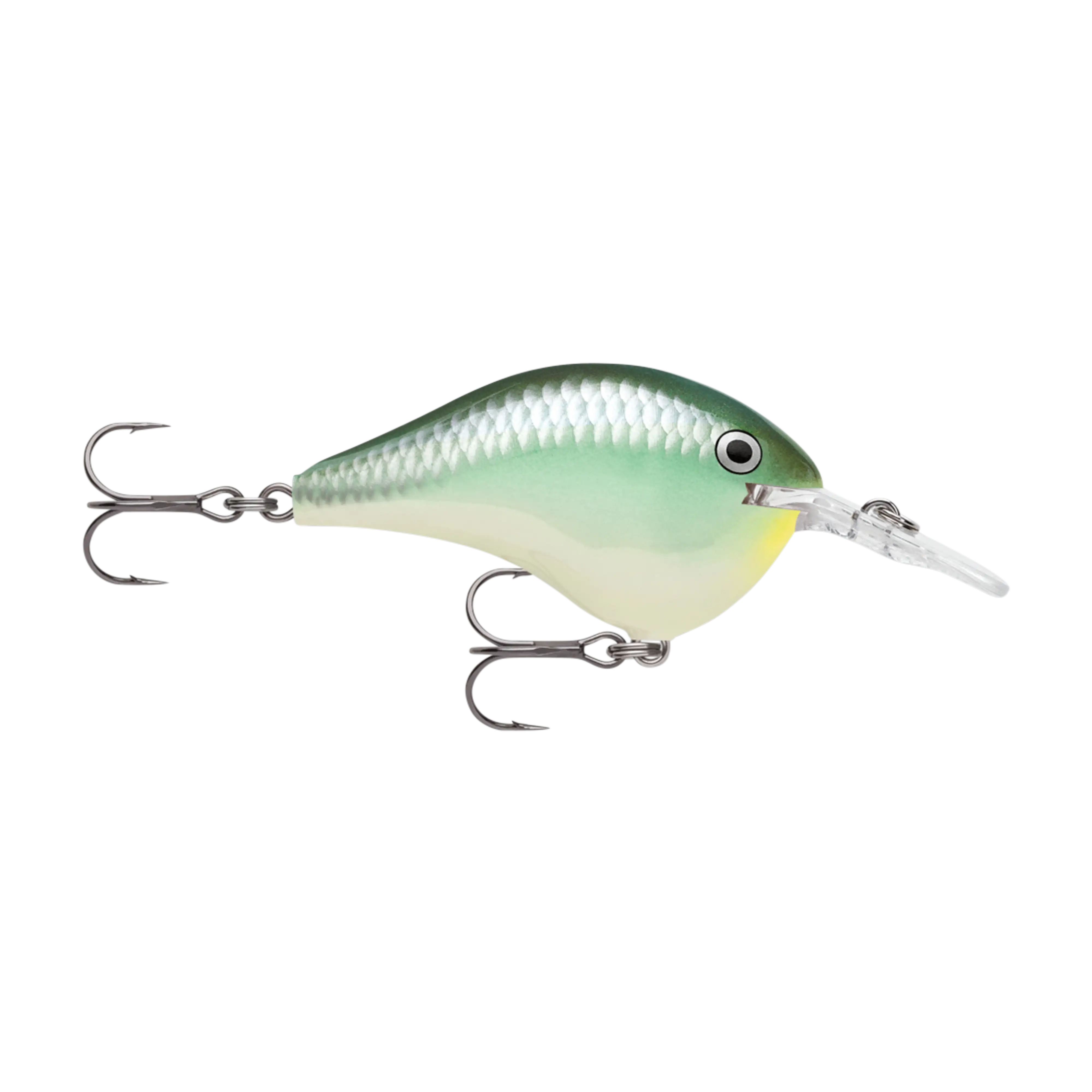 Rapala DT6 Series Crankbaits