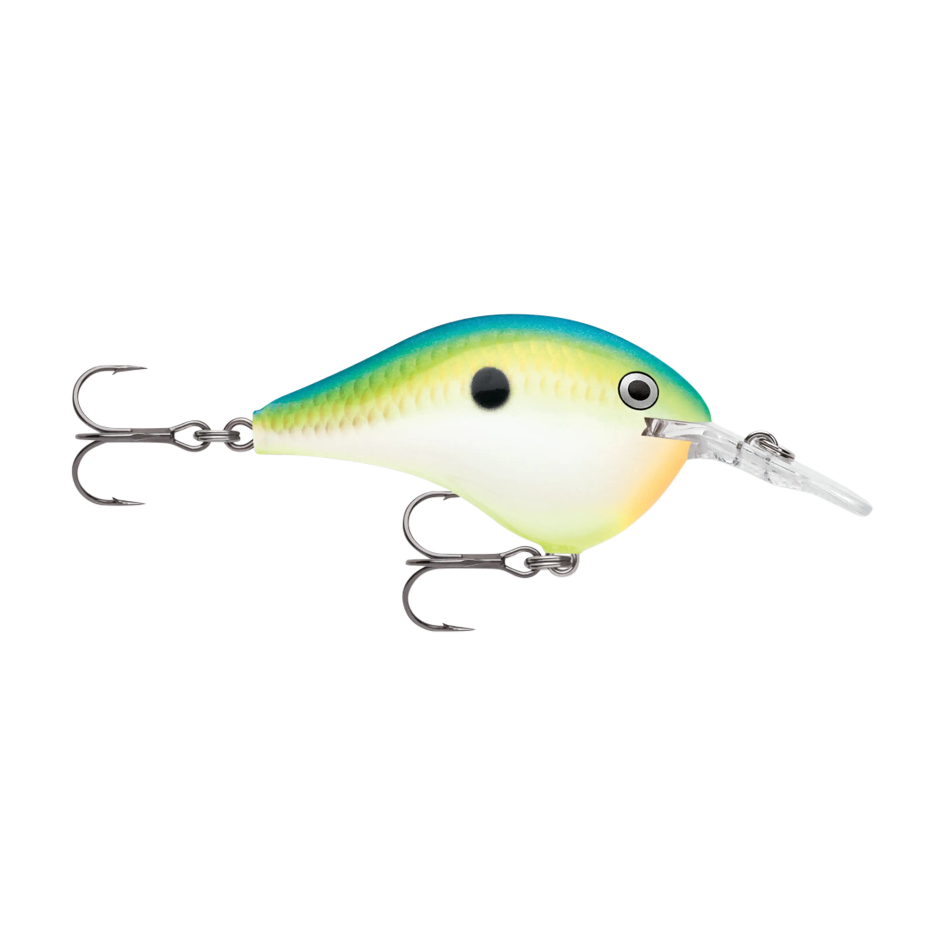Rapala DT6 Series Crankbaits