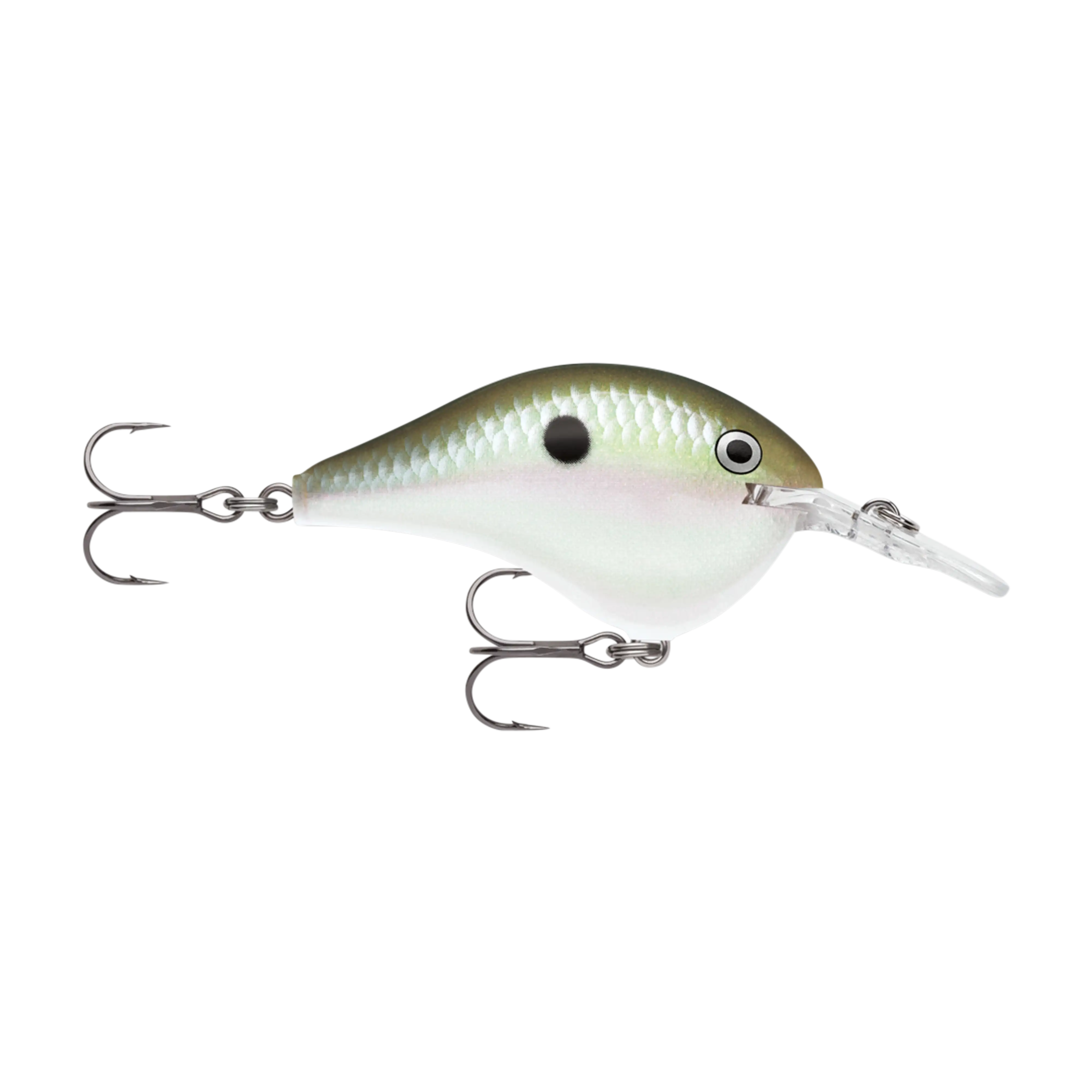 Rapala DT6 Series Crankbaits