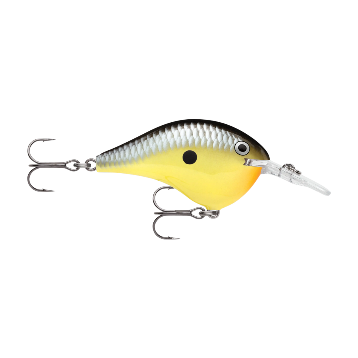 Rapala DT6 Series Crankbaits