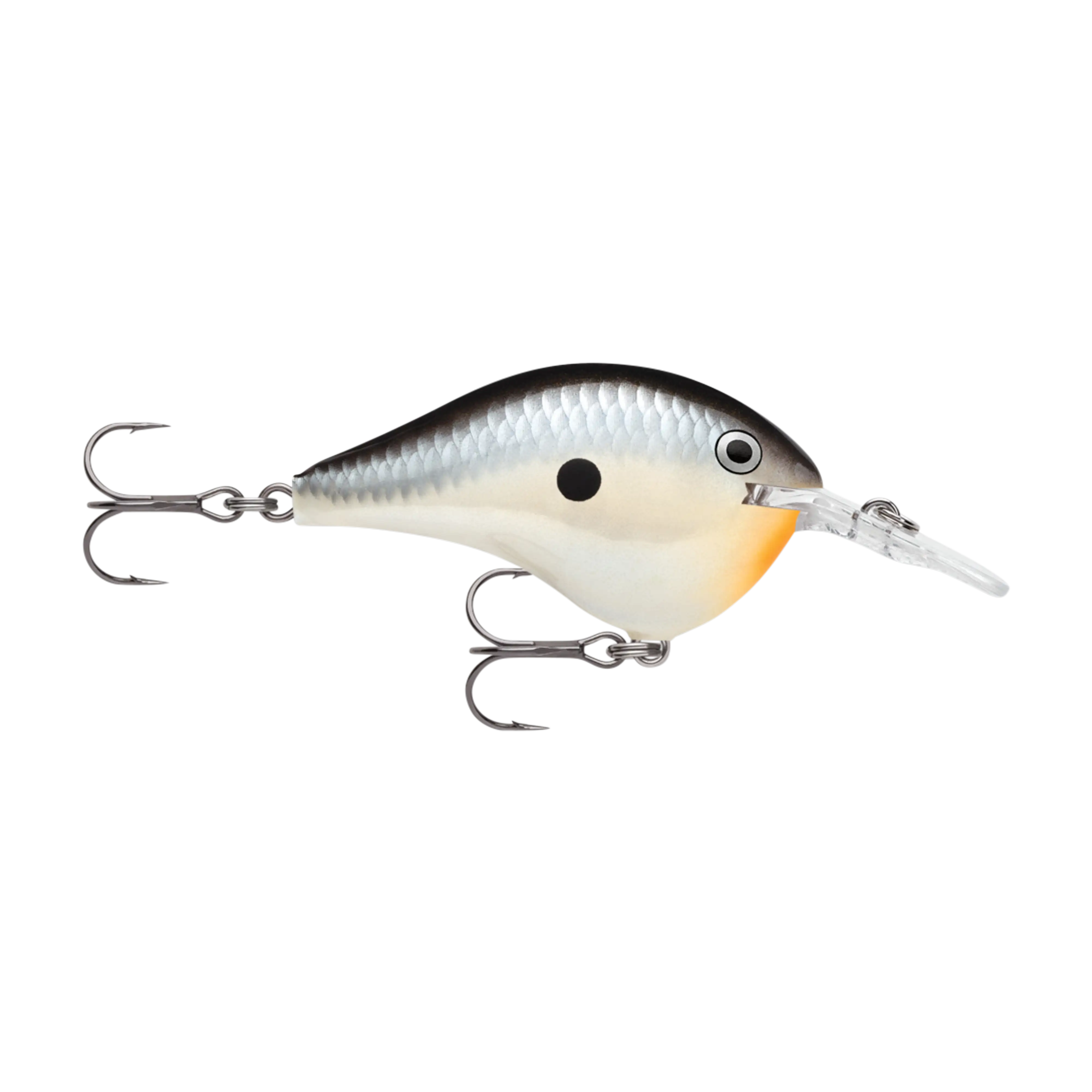 Rapala DT6 Series Crankbaits