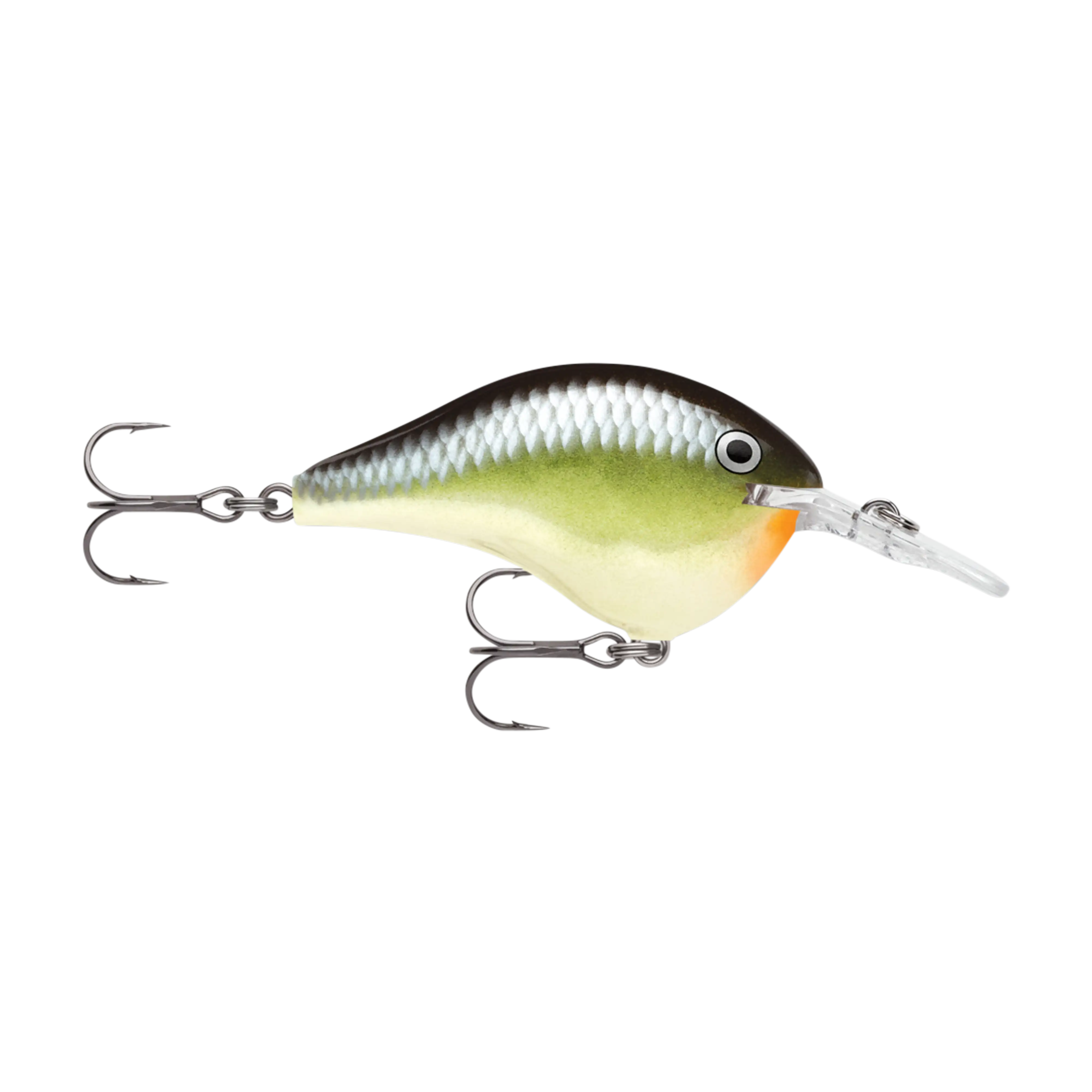 Rapala DT6 Series Crankbaits