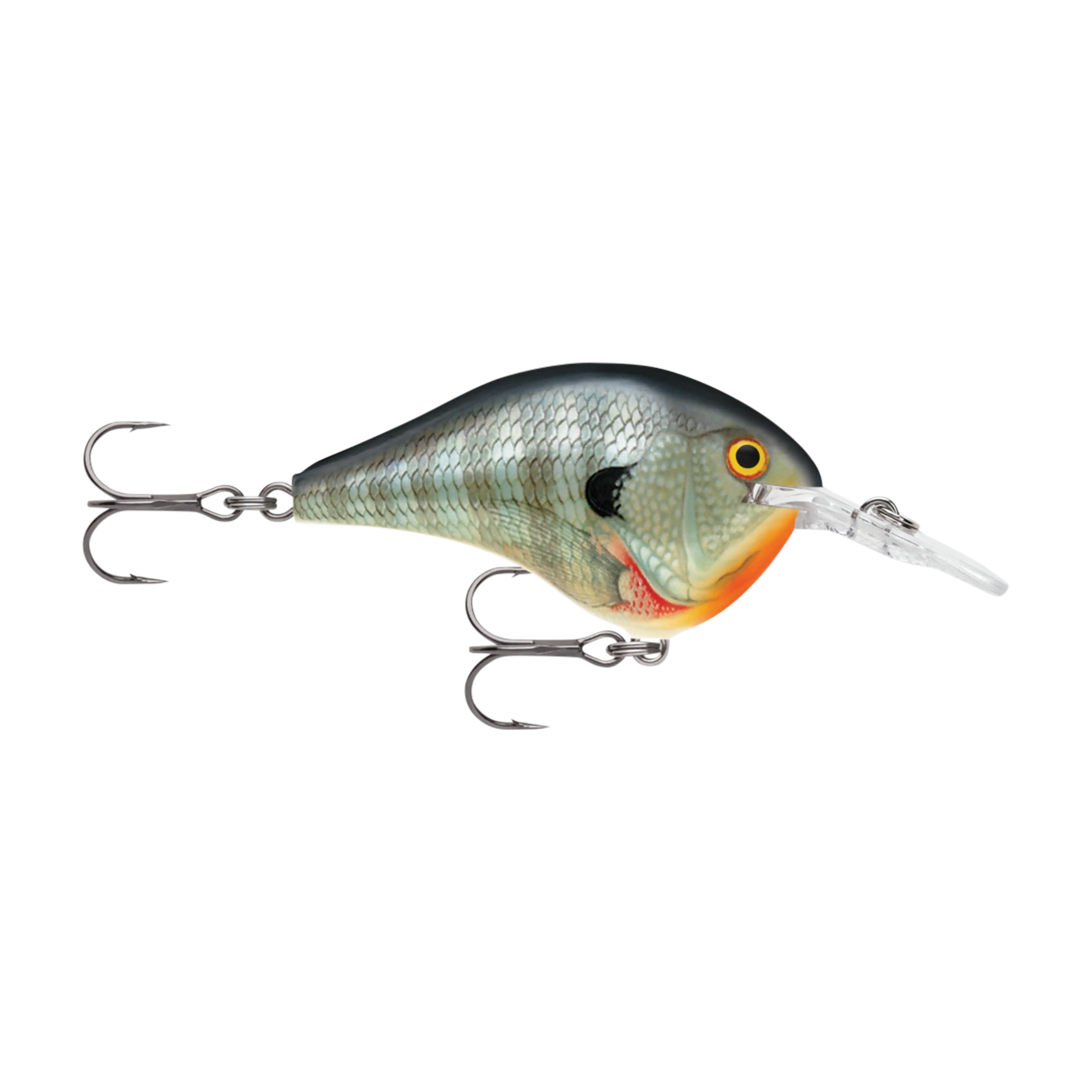 Rapala DT8 Series Crankbaits