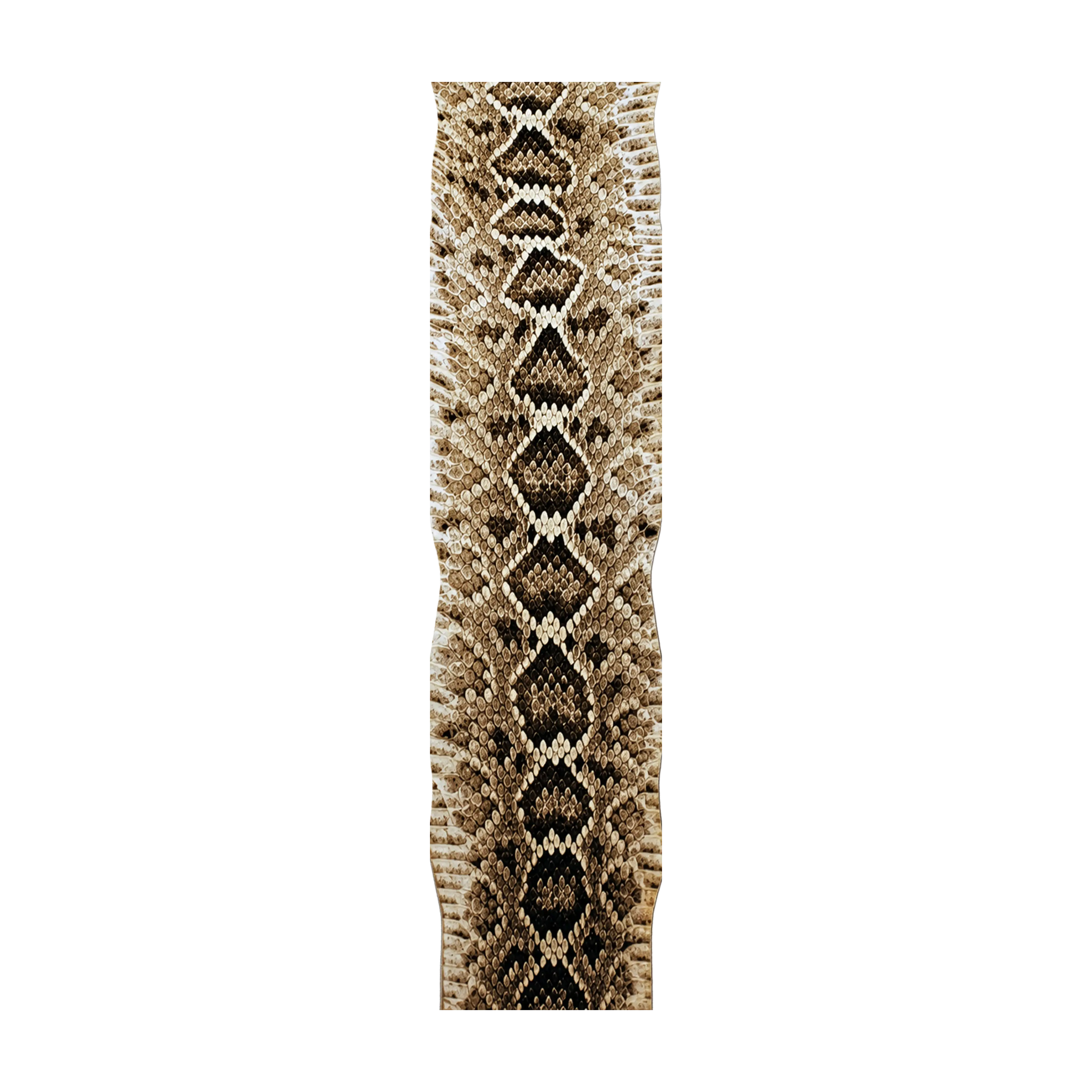 Mud Hole Snake Skins