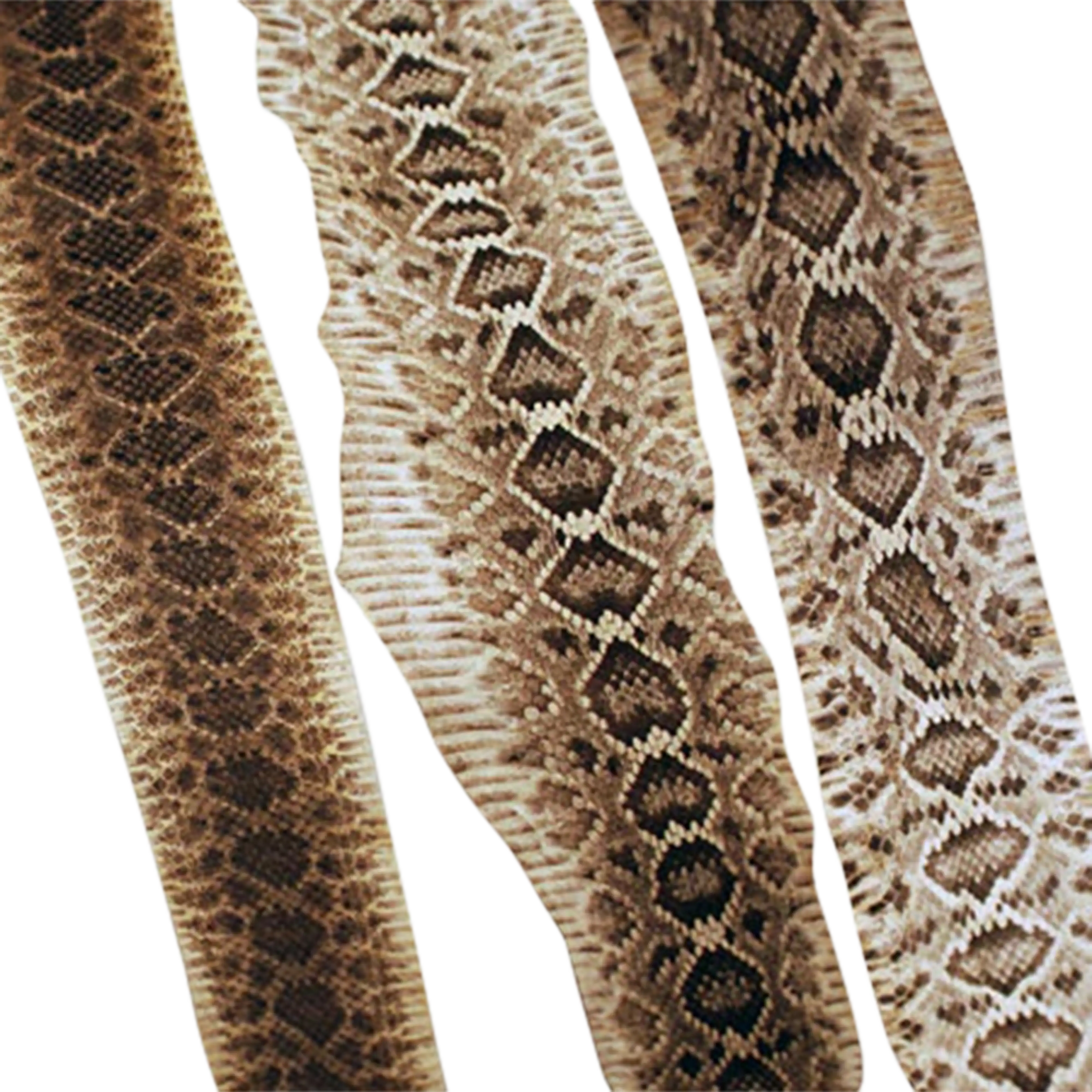 Mud Hole Rattlesnake Skins