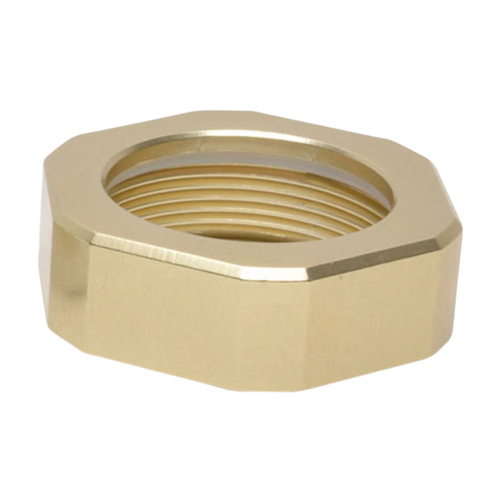 英麻呂T. ionantha ‘Nizanda' と‘Hazel Nut' 英麻呂T. ionantha 'Nizanda' と'Hazel Nut' 英麻呂T. ionantha