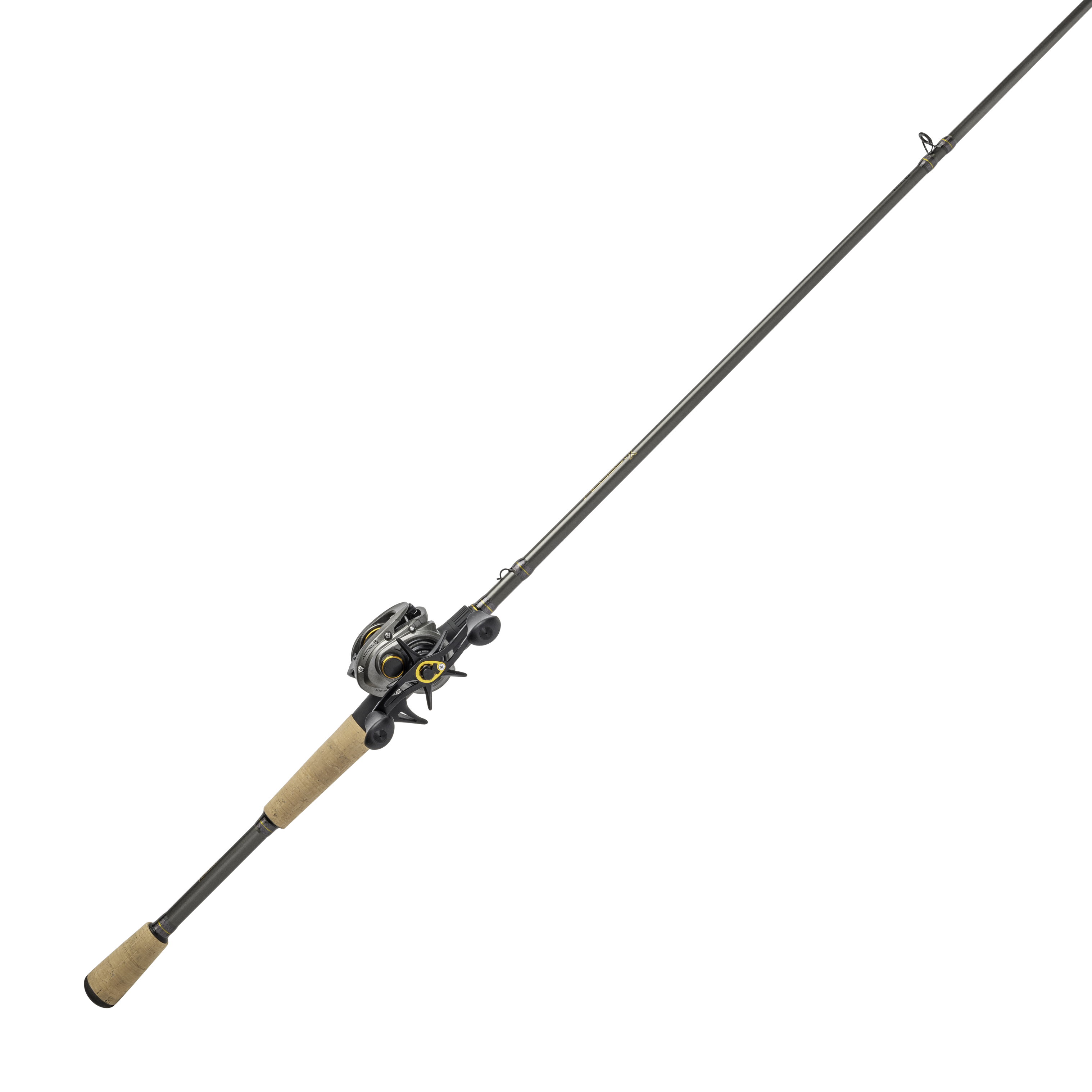 Lew's Accel RX Baitcasting Combo