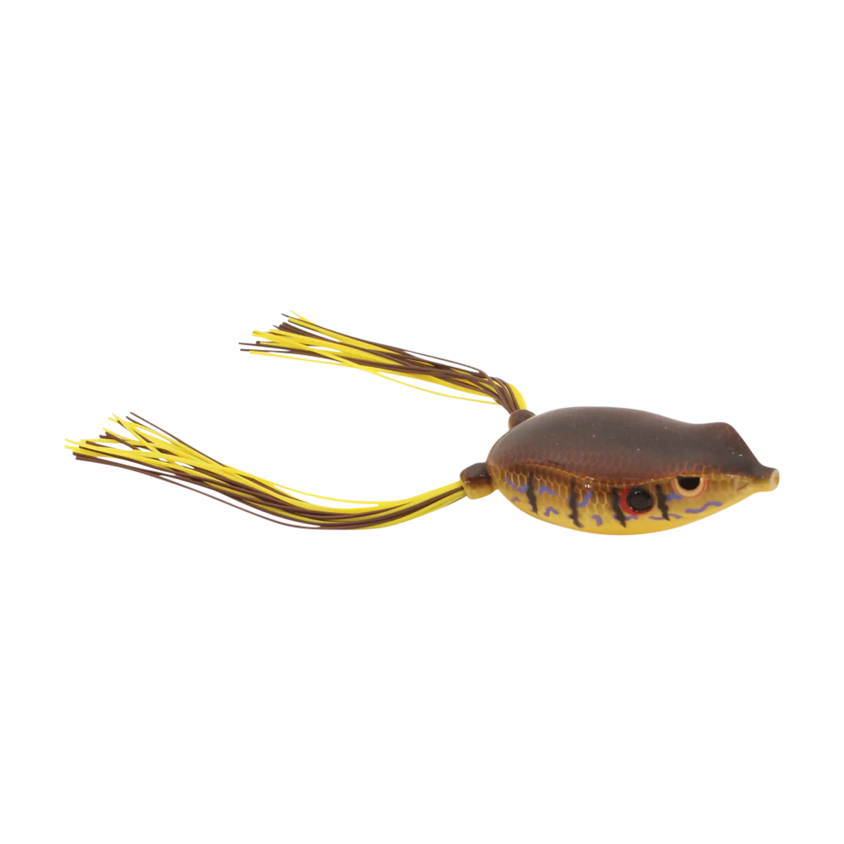 spro-bronzeye-frog-65-red-ear.