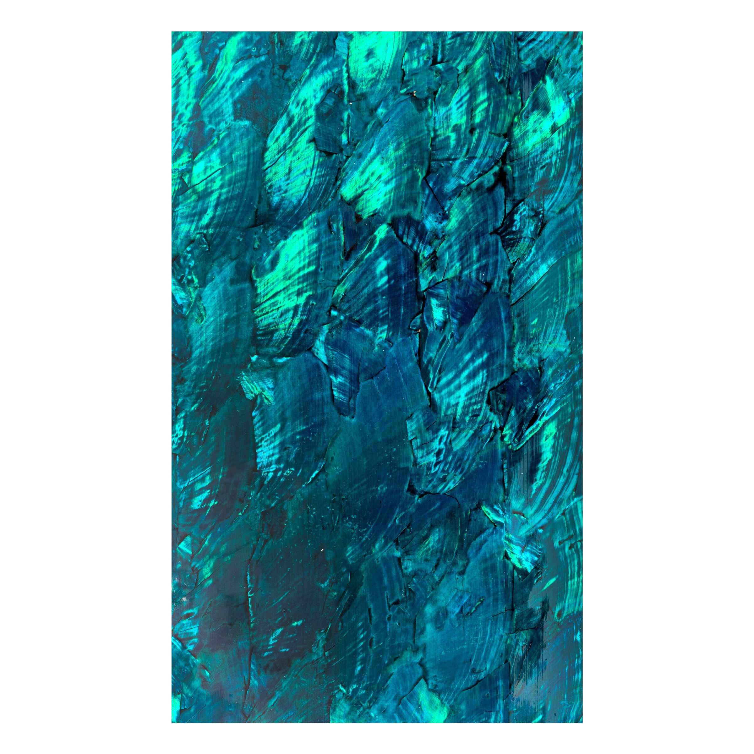 #color_angel wing teal